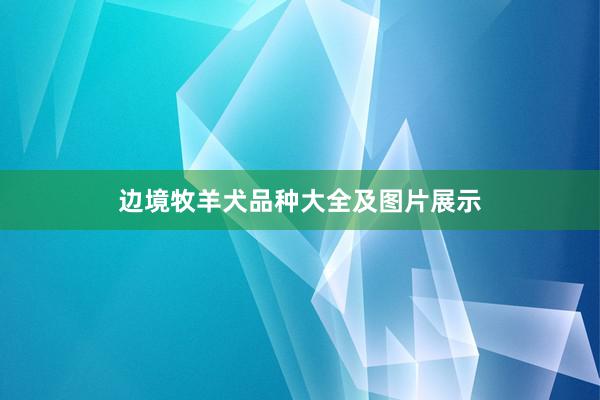 边境牧羊犬品种大全及图片展示